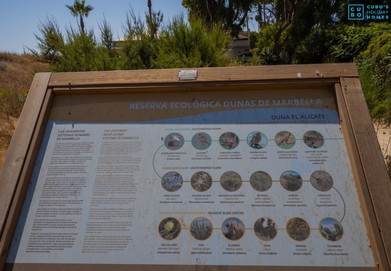 Apartment in Marbella - Cubo's Marbella Costa del Sol Parking Incluido