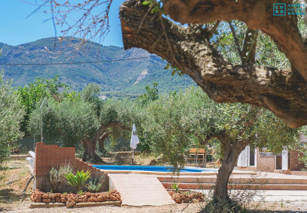 House in Alhaurín el Grande - Cubo's Finca Sanchez Aranda