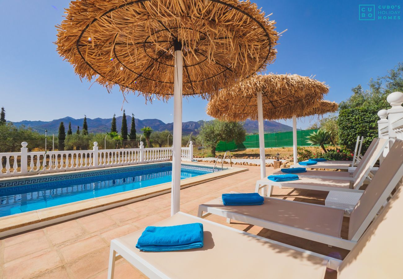 Villa in Alhaurin de la Torre - Cubo's Villa Blanca Alhaurin