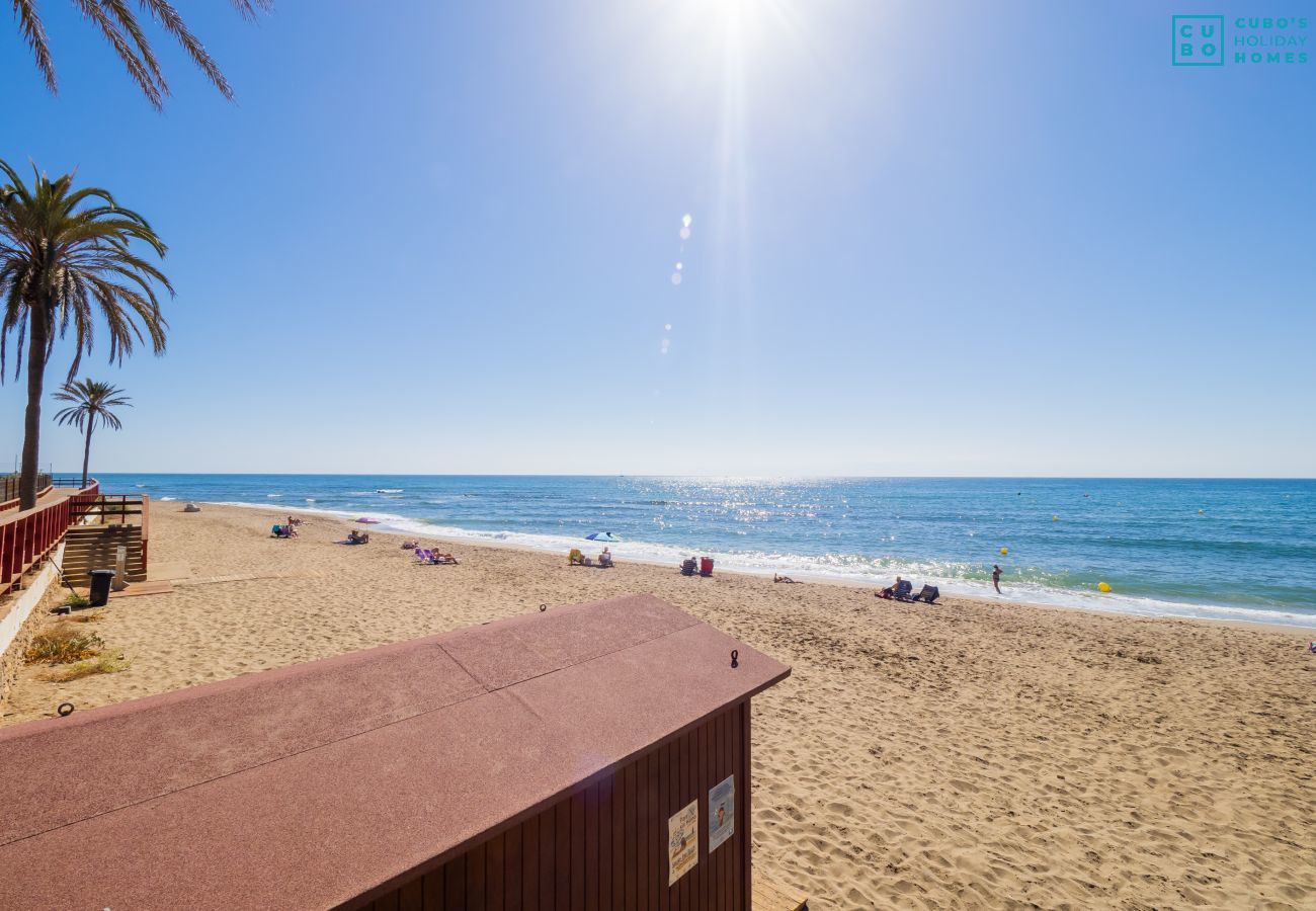 Apartment in Mijas Costa - Cubo's Luna Beach Mijas Costa