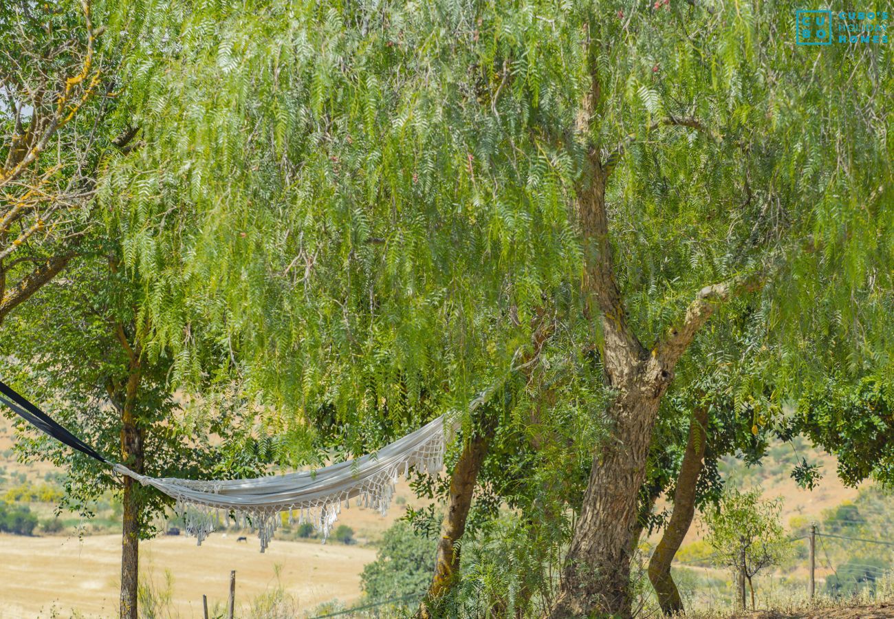 Cottage in Archidona  - Cubo's Cortijo El Perezon