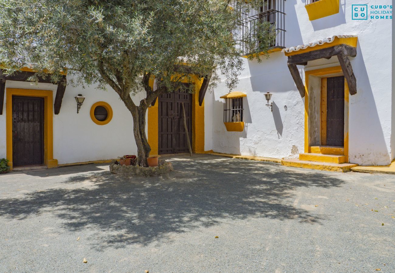 Cottage in Archidona  - Cubo's Cortijo El Perezon