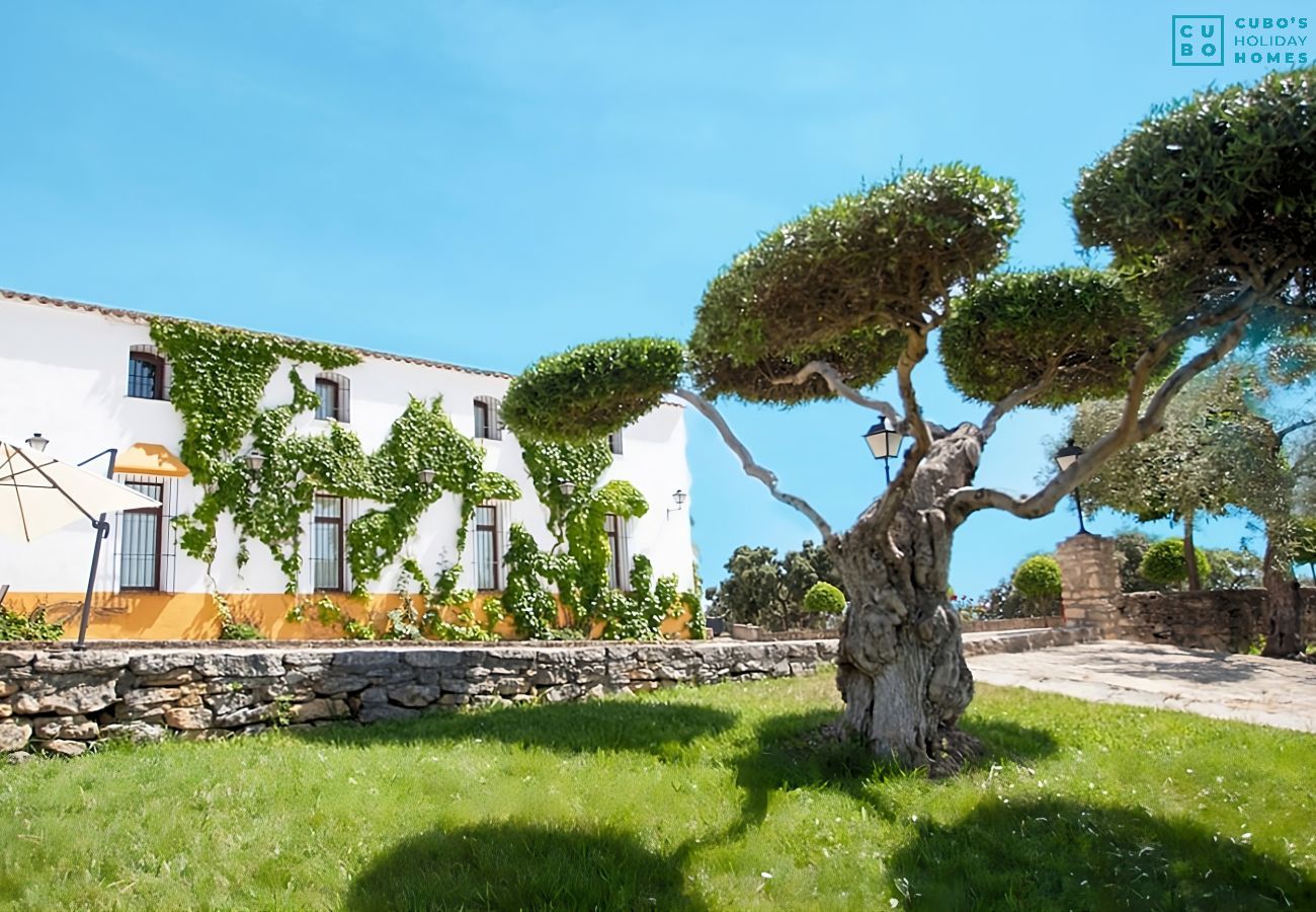 Cottage in Setenil de las Bodegas - Cubo's El Baldio Country House - Setenil Bodegas