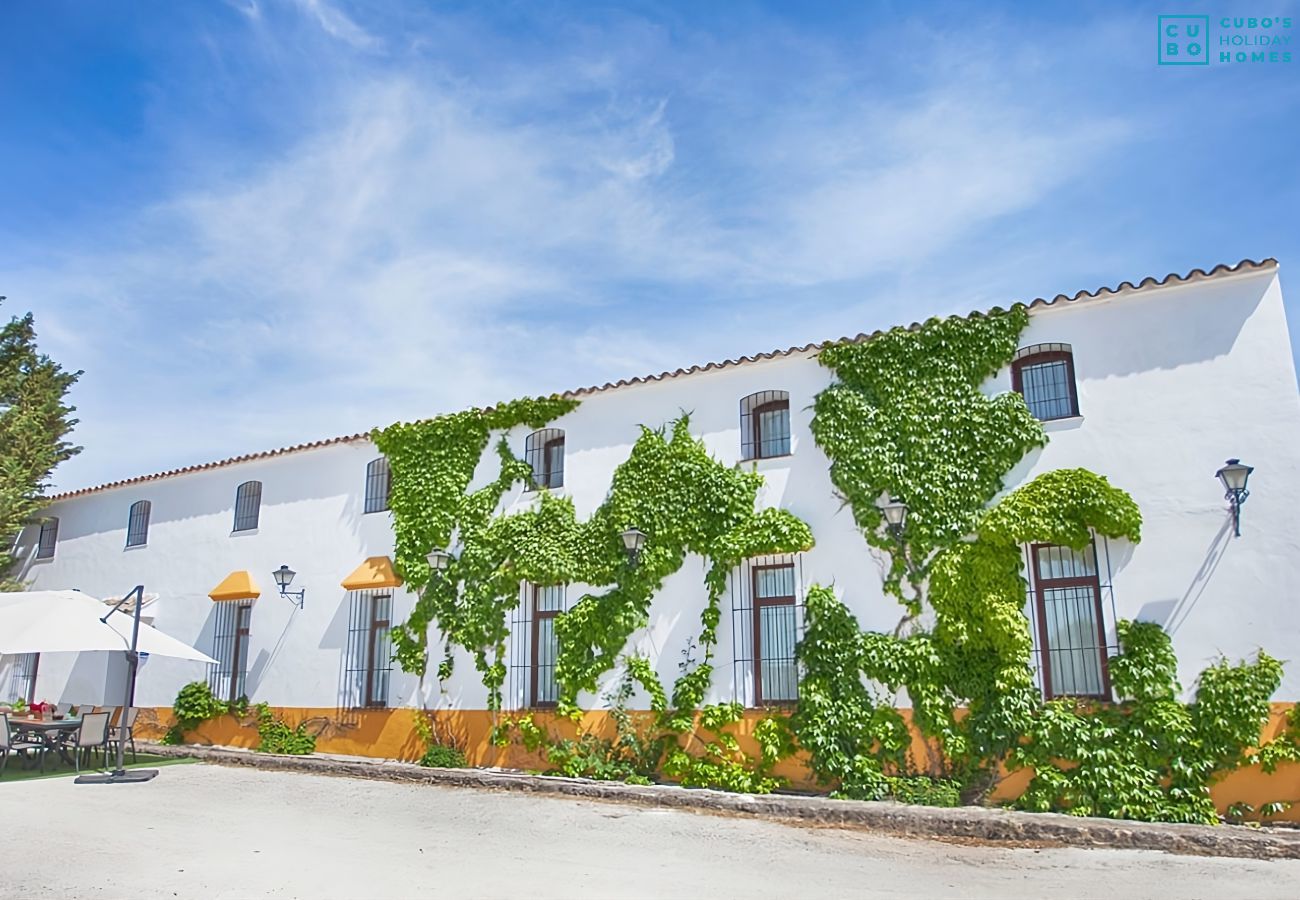 Cottage in Setenil de las Bodegas - Cubo's El Baldio Country House - Setenil Bodegas
