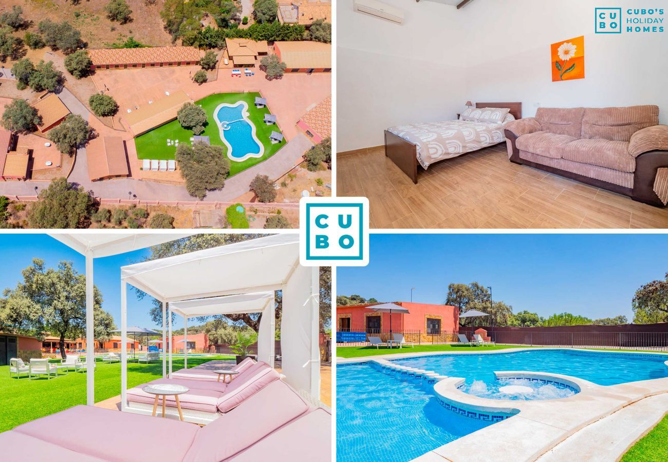 Holiday complex in Córdoba los Pedroches with swimming pool and chill out area.