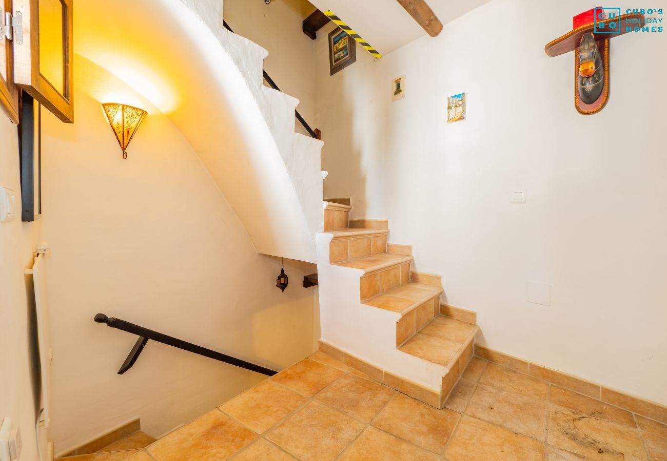 Cottage in Sedella - Cubo's Casa Mas Axarquia BBQ Roof Terrace