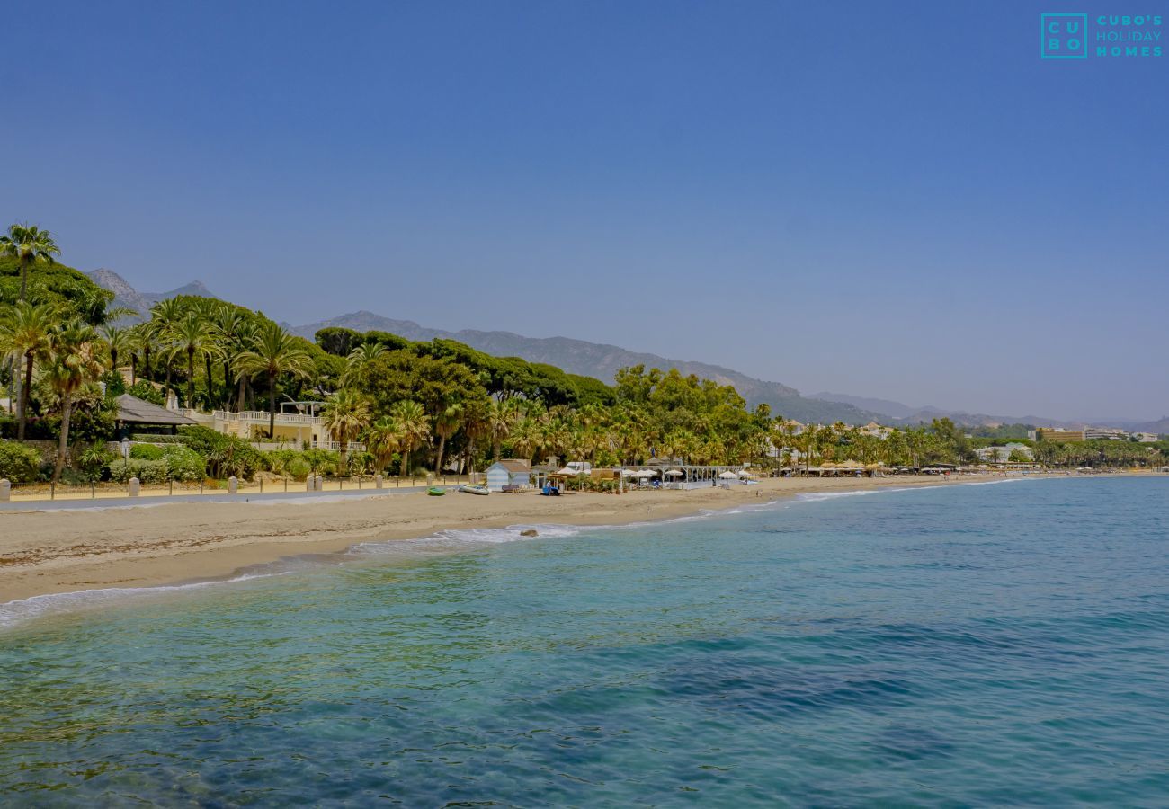 Apartment in Marbella - Cubo's Apartment Conde Rudi Marbella Pool&Parking