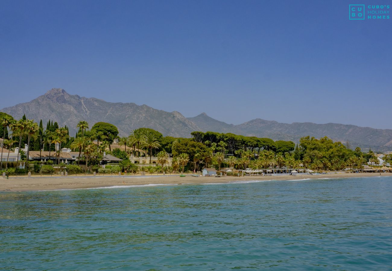 Apartment in Marbella - Cubo's Apartment Conde Rudi Marbella Pool&Parking