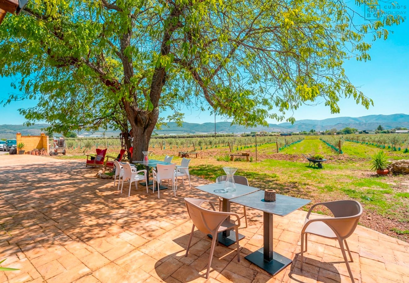 Cottage in Antequera - Cubo's Cortijo La Olivera
