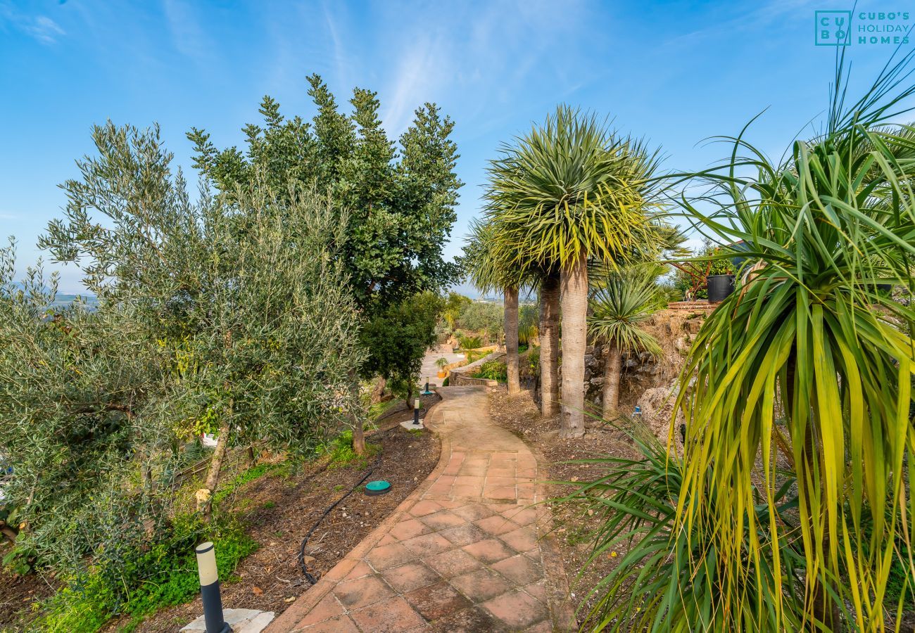 Cottage in Coín - Cubo's Salvadora Rural House