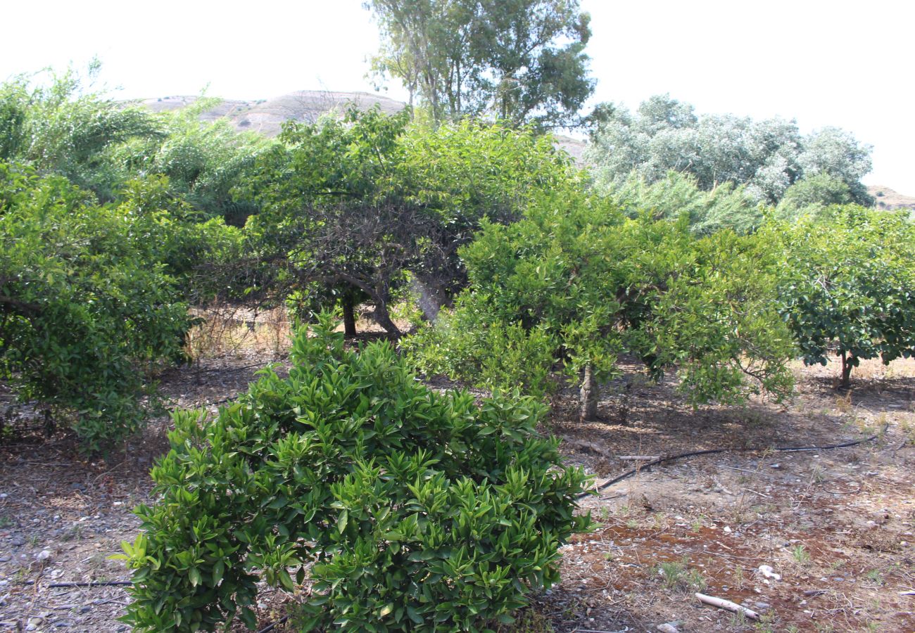 VTC1891 VENTA CASA DE CAMPO EN FINCA RÚSTICA Houses in Alhaurín el Grande