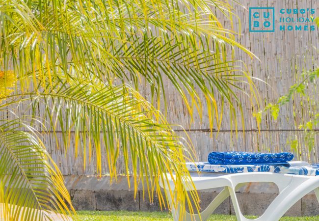 Gîte Rural à Alhaurín el Grande - Cubo's Finca el Cortijito de Herrera Gîte Rural à Alhaurín el Grande - Cubo's Finca el Cortijito de Herrera