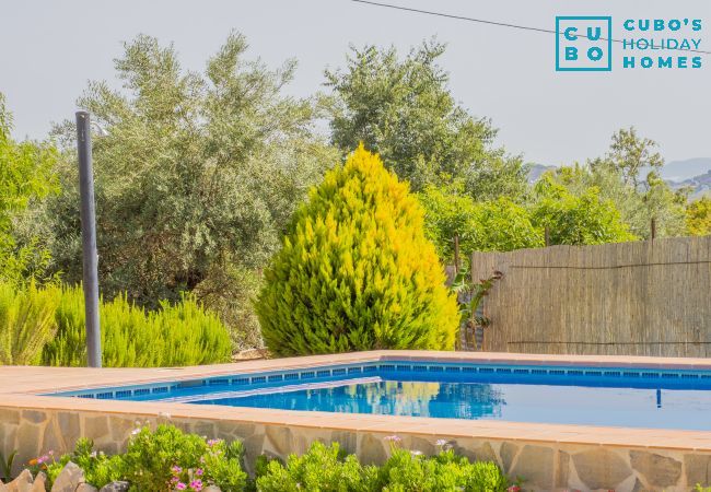 Gîte Rural à Alhaurín el Grande - Cubo's Finca el Cortijito de Herrera Gîte Rural à Alhaurín el Grande - Cubo's Finca el Cortijito de Herrera