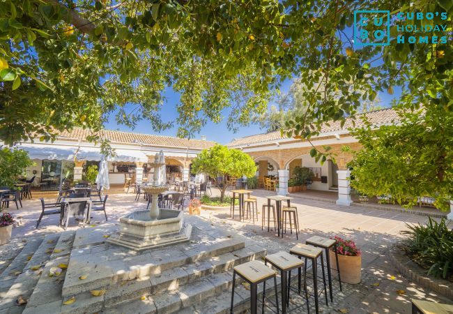 Gîte Rural à Alhaurin de la Torre - Cubo's Finca el Nogal Gîte Rural à Alhaurin de la Torre - Cubo's Finca el Nogal