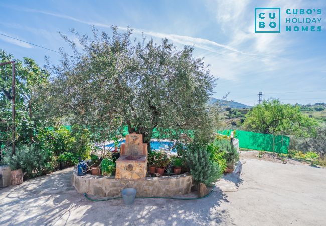 Gîte Rural à Alhaurín el Grande - Cubo's Finca Jara Gîte Rural à Alhaurín el Grande - Cubo's Finca Jara