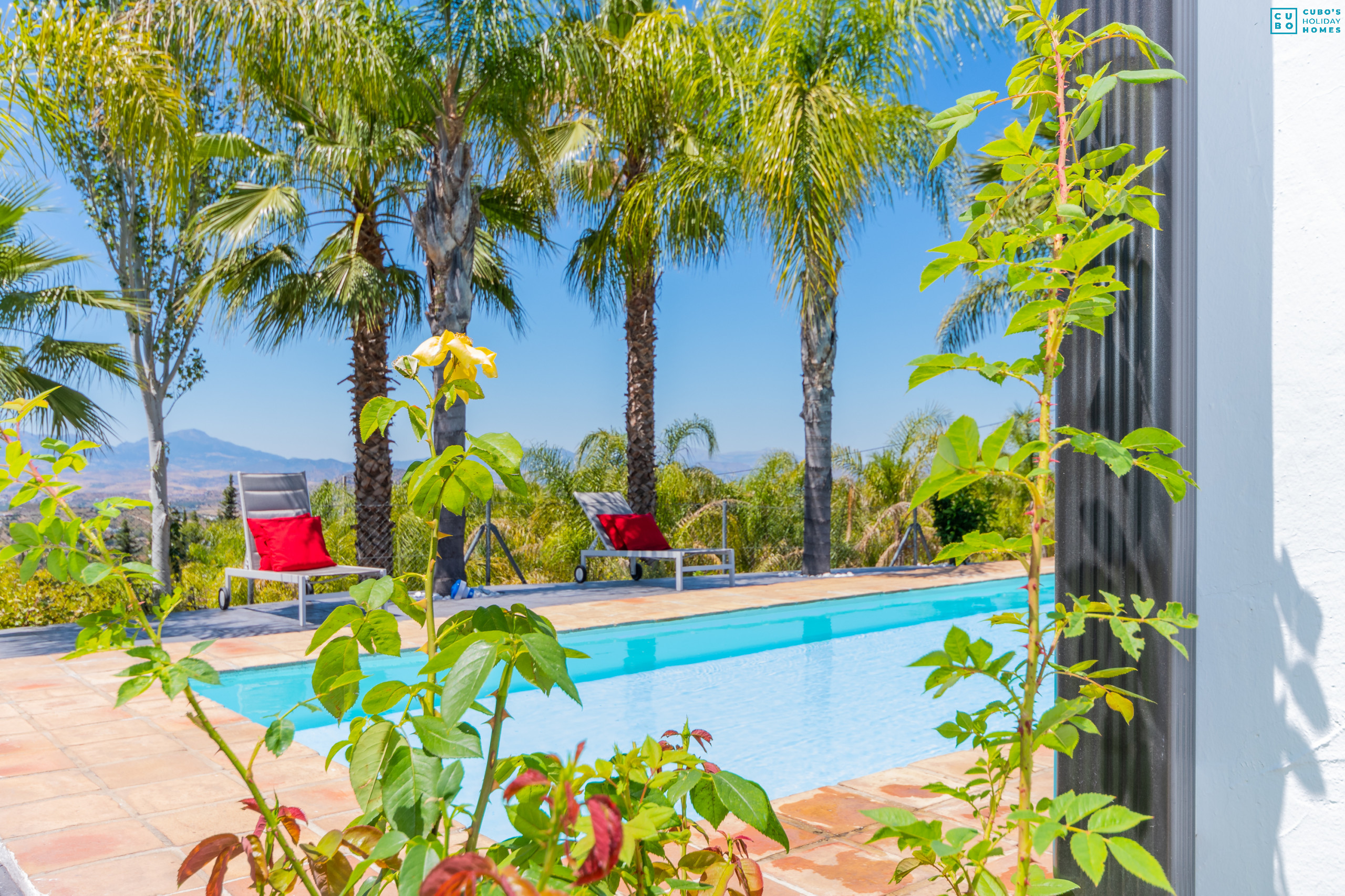 Piscine privée de cette Finca à Alhaurín el Grande