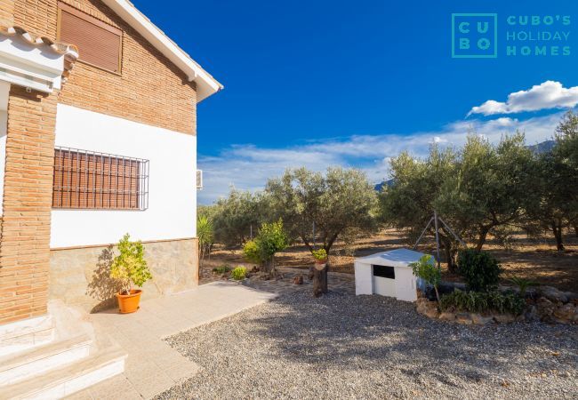 Gîte Rural à Alhaurín el Grande - Cubo's Villa Ainhoa Gîte Rural à Alhaurín el Grande - Cubo's Villa Ainhoa