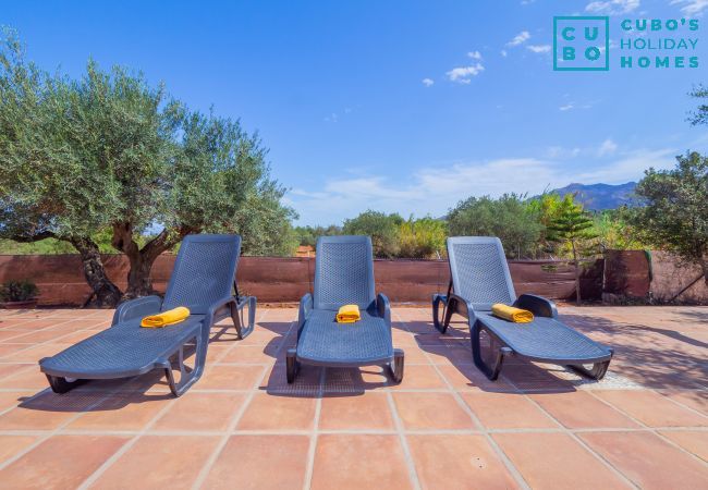 Gîte Rural à Alhaurín el Grande - Cubo's Finca Los Acebuches Gîte Rural à Alhaurín el Grande - Cubo's Finca Los Acebuches