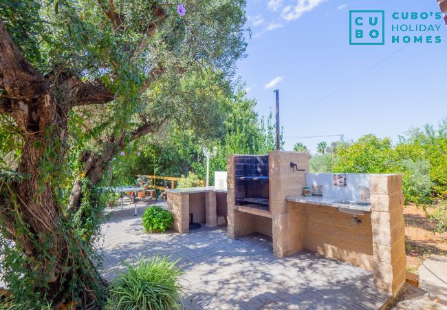 Gîte Rural à Alhaurín el Grande - Cubo's Finca Los Acebuches Gîte Rural à Alhaurín el Grande - Cubo's Finca Los Acebuches