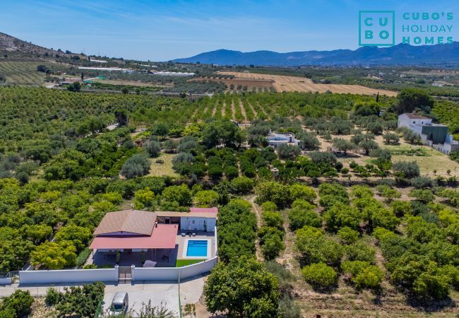 Gîte Rural à Alhaurín el Grande - Cubo's Casa Rural Marifran Gîte Rural à Alhaurín el Grande - Cubo's Casa Rural Marifran