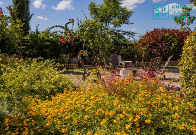 Gîte Rural à Alhaurín el Grande - Cubo's Casa Rural Vimar Alhaurin Gîte Rural à Alhaurín el Grande - Cubo's Casa Rural Vimar Alhaurin