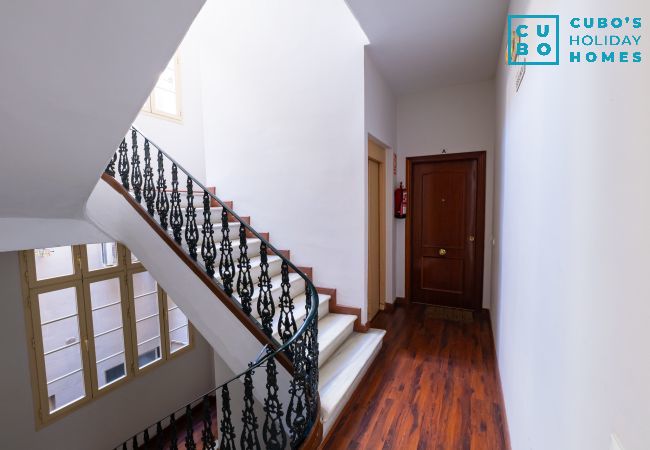 Studio à Málaga - Cubo's Estudio Malaga Center Studio à Málaga - Cubo's Estudio Malaga Center