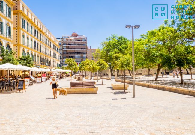 Studio à Málaga - Cubo's Estudio Malaga Center Studio à Málaga - Cubo's Estudio Malaga Center