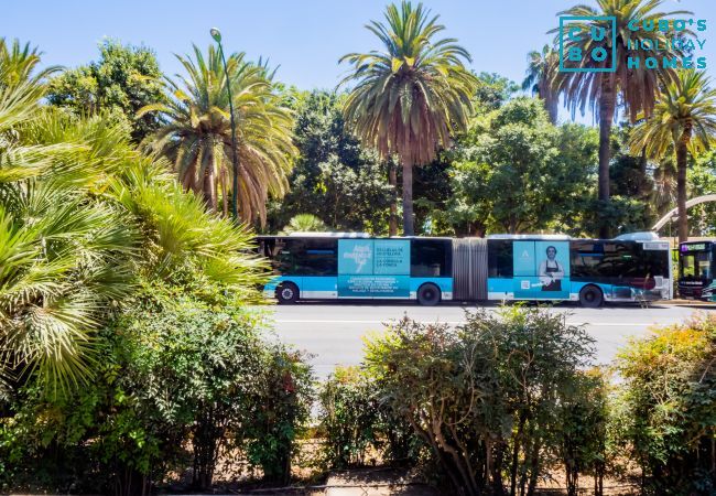 Studio à Málaga - Cubo's Estudio Malaga Center Studio à Málaga - Cubo's Estudio Malaga Center