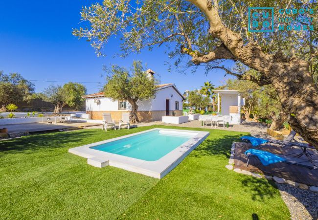 Gîte Rural à Alhaurín el Grande - Cubo's Casa Rural La Oliva Gîte Rural à Alhaurín el Grande - Cubo's Casa Rural La Oliva