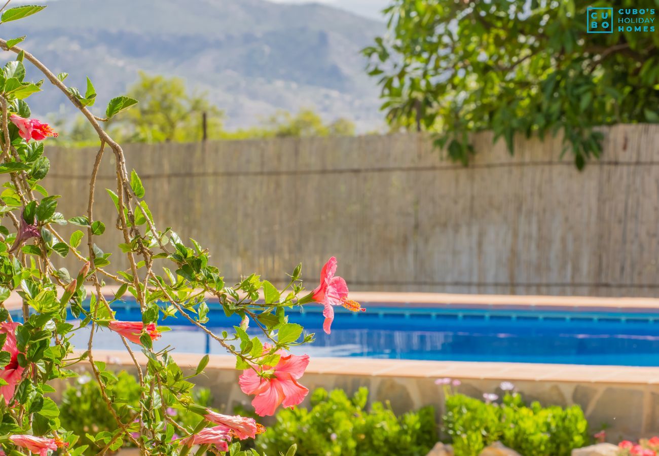 Gîte Rural à Alhaurín el Grande - Cubo's Finca el Cortijito de Herrera