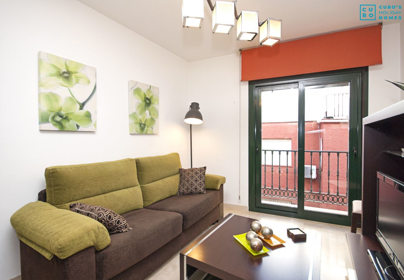 Salon de cet appartement à Fuengirola