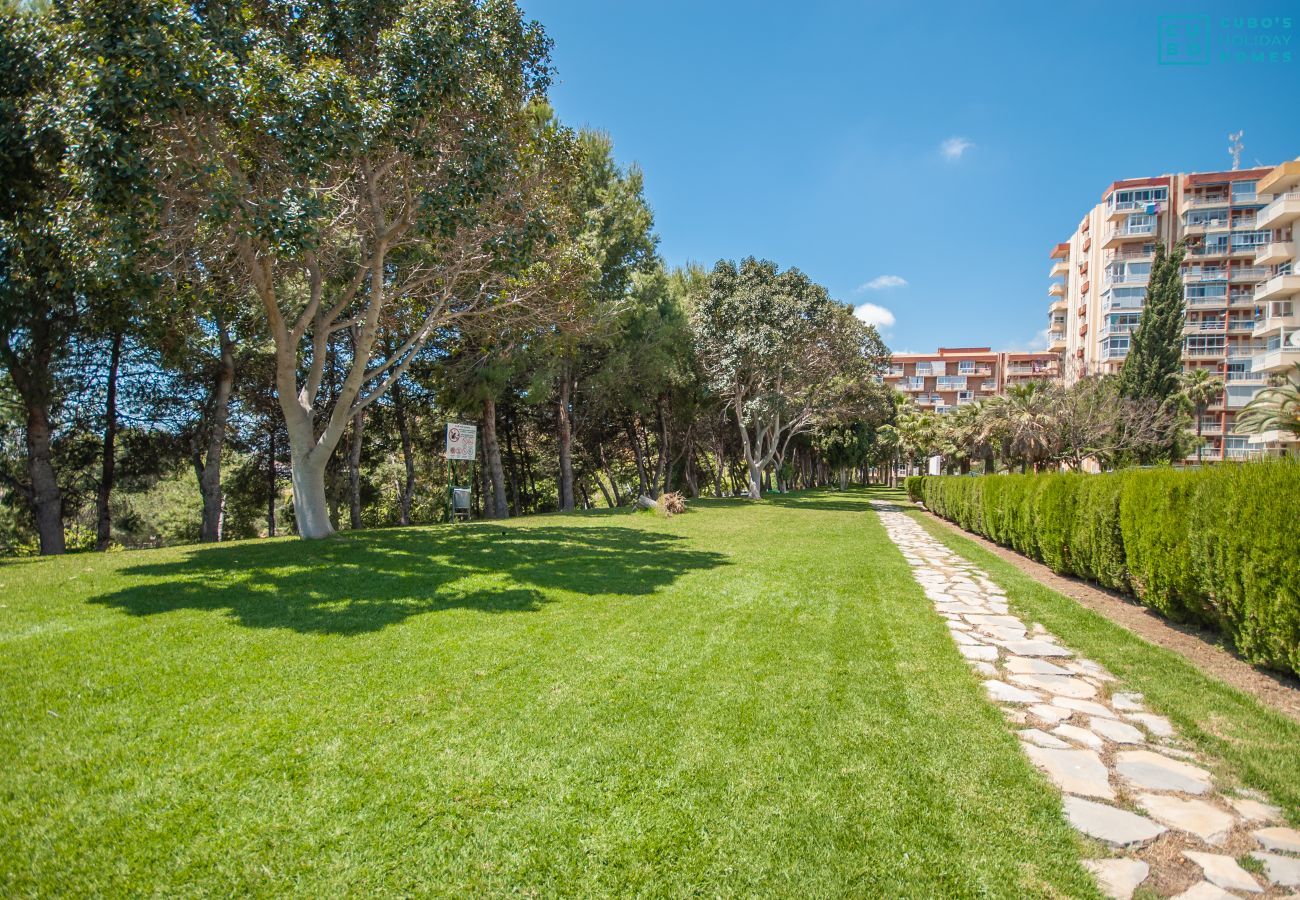 Jardin de cet appartement à Benalmádena