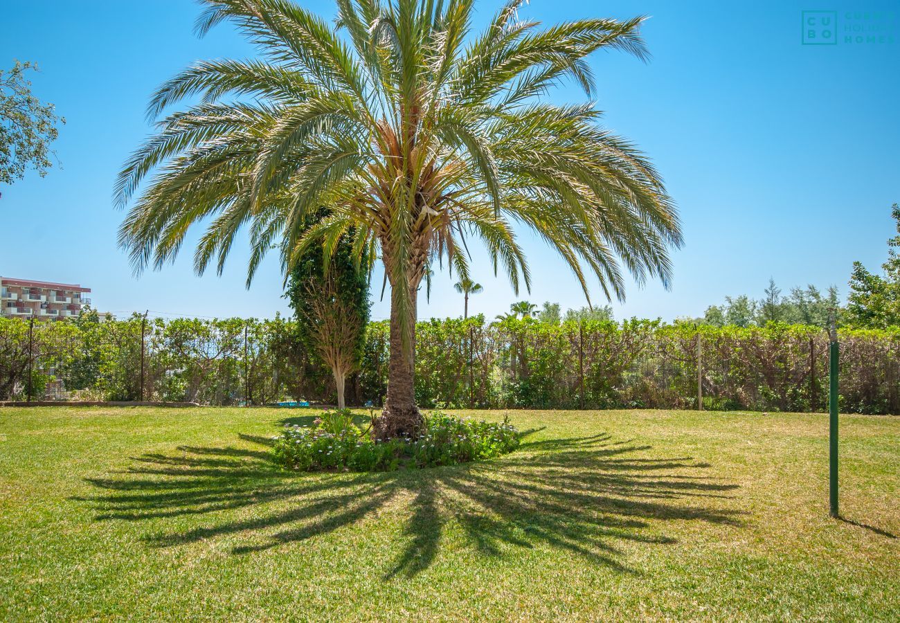 Jardin de cet appartement à Benalmádena