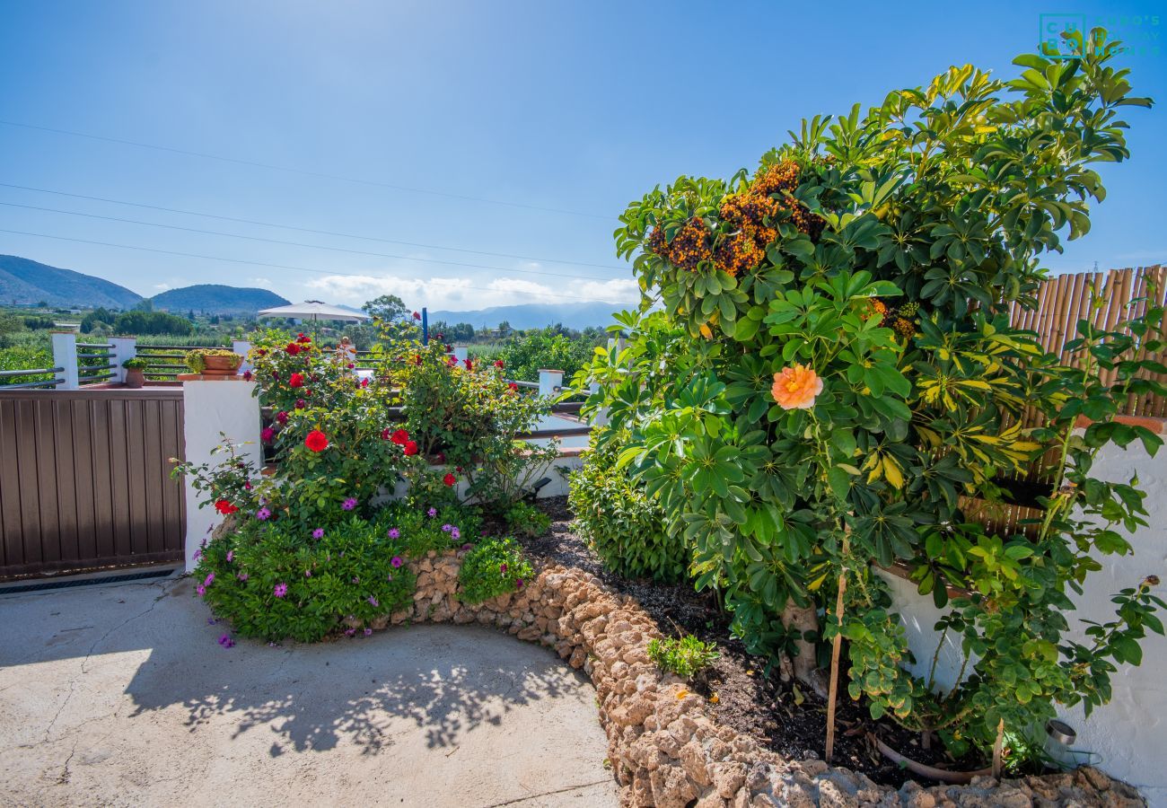 Vues de cette Finca à Cártama