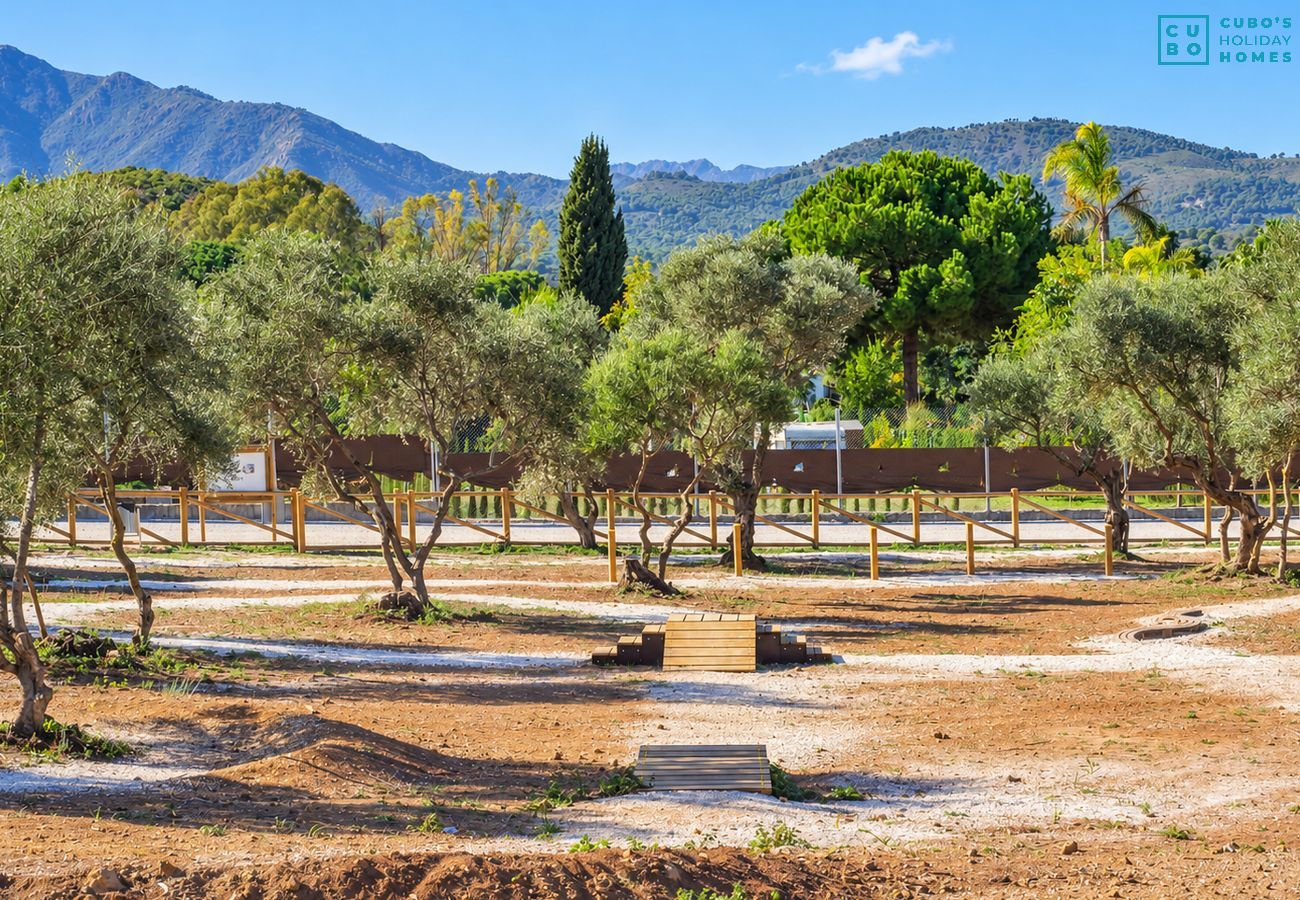Gîte Rural à Alhaurín el Grande - Cubo's Casa Maria Los Javieles