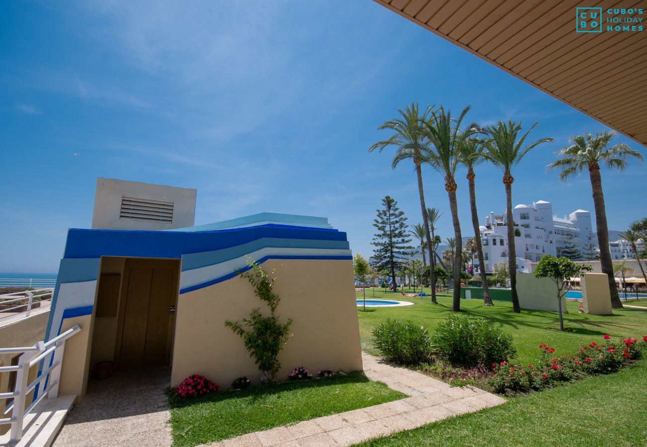 Jardin de ce studio à Torremolinos