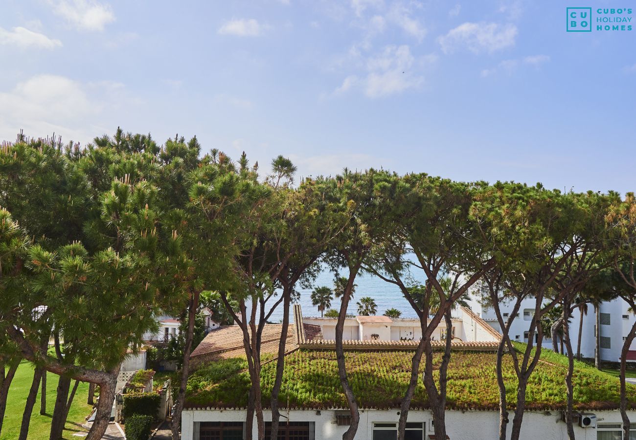 Plage près de cet appartement à Calahonda