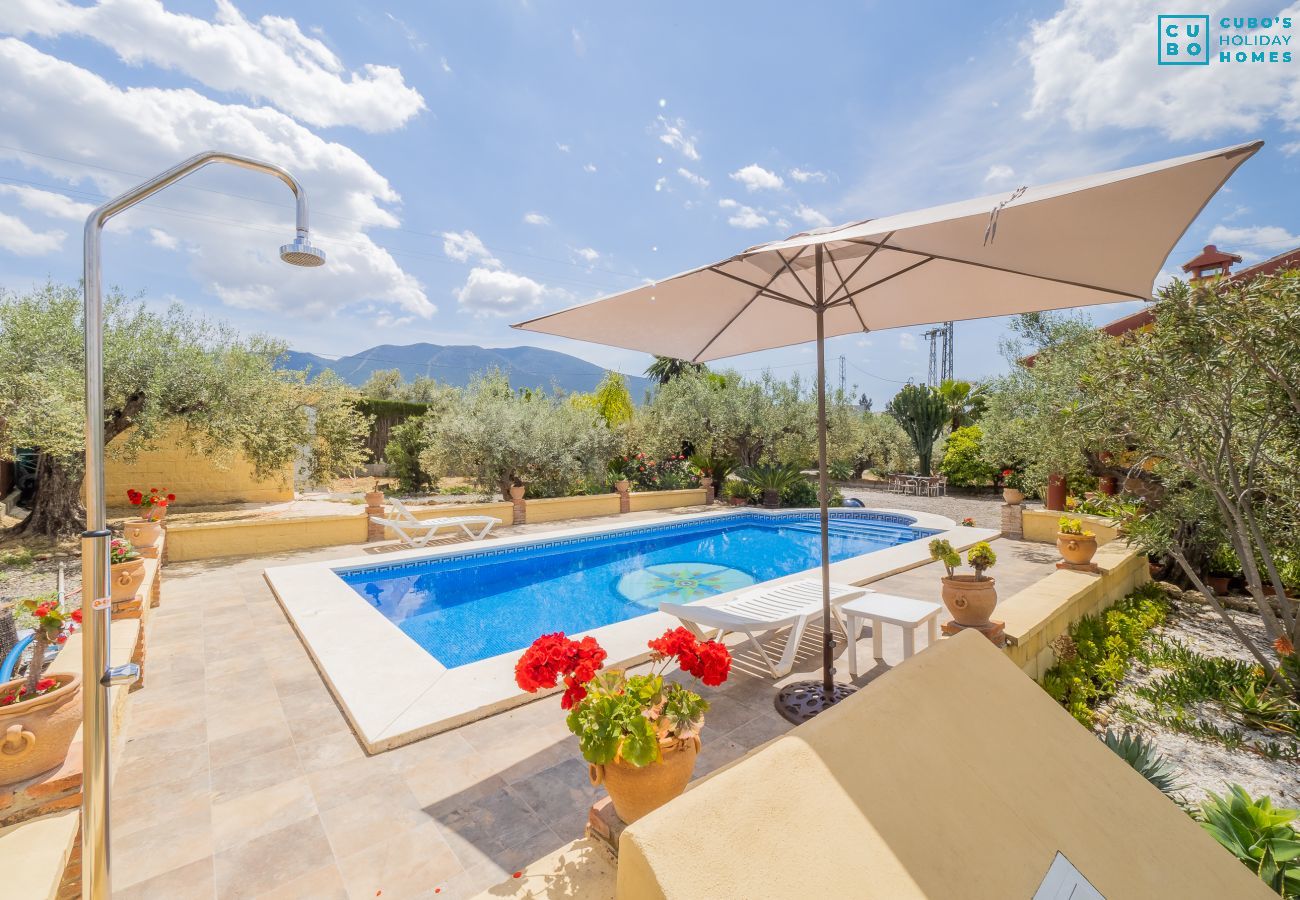 Piscine extérieure de cette maison rurale à Alhaurín