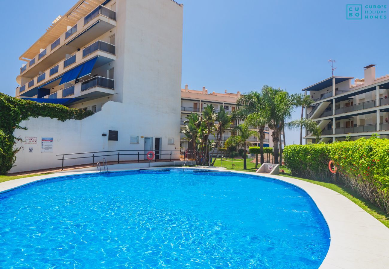 Piscine de l'appartement