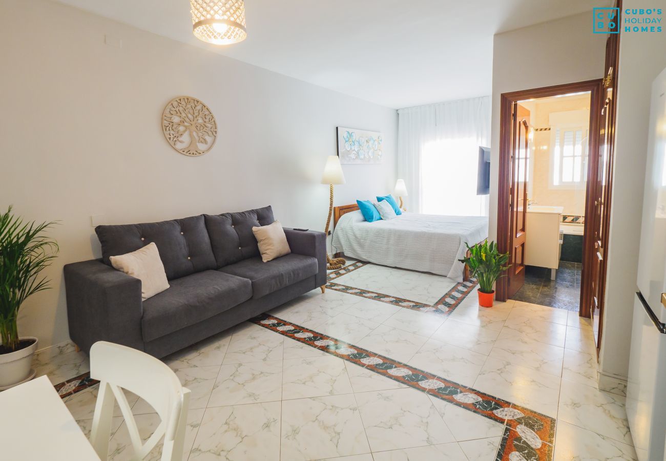 Salon de l'appartement