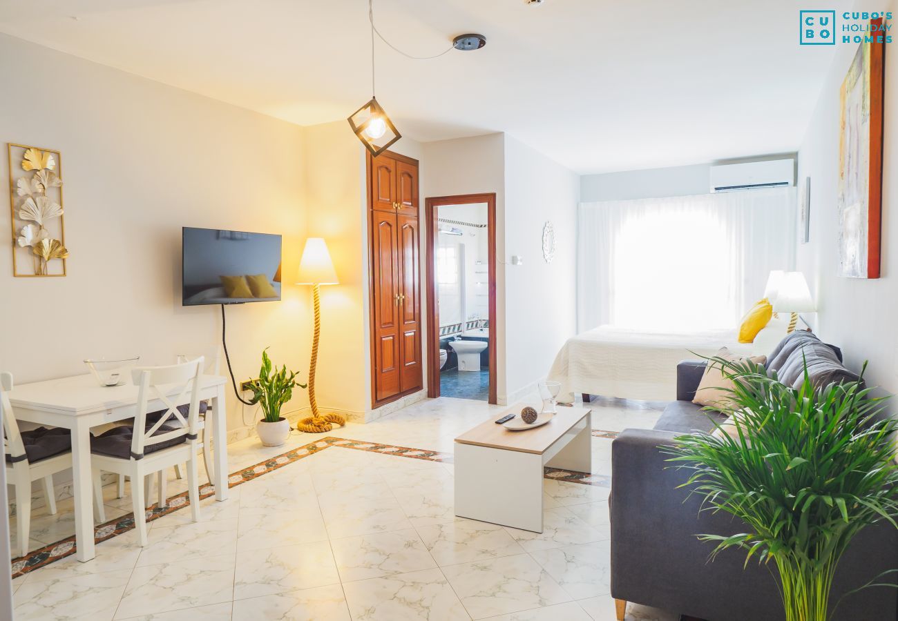 Salon de l'appartement