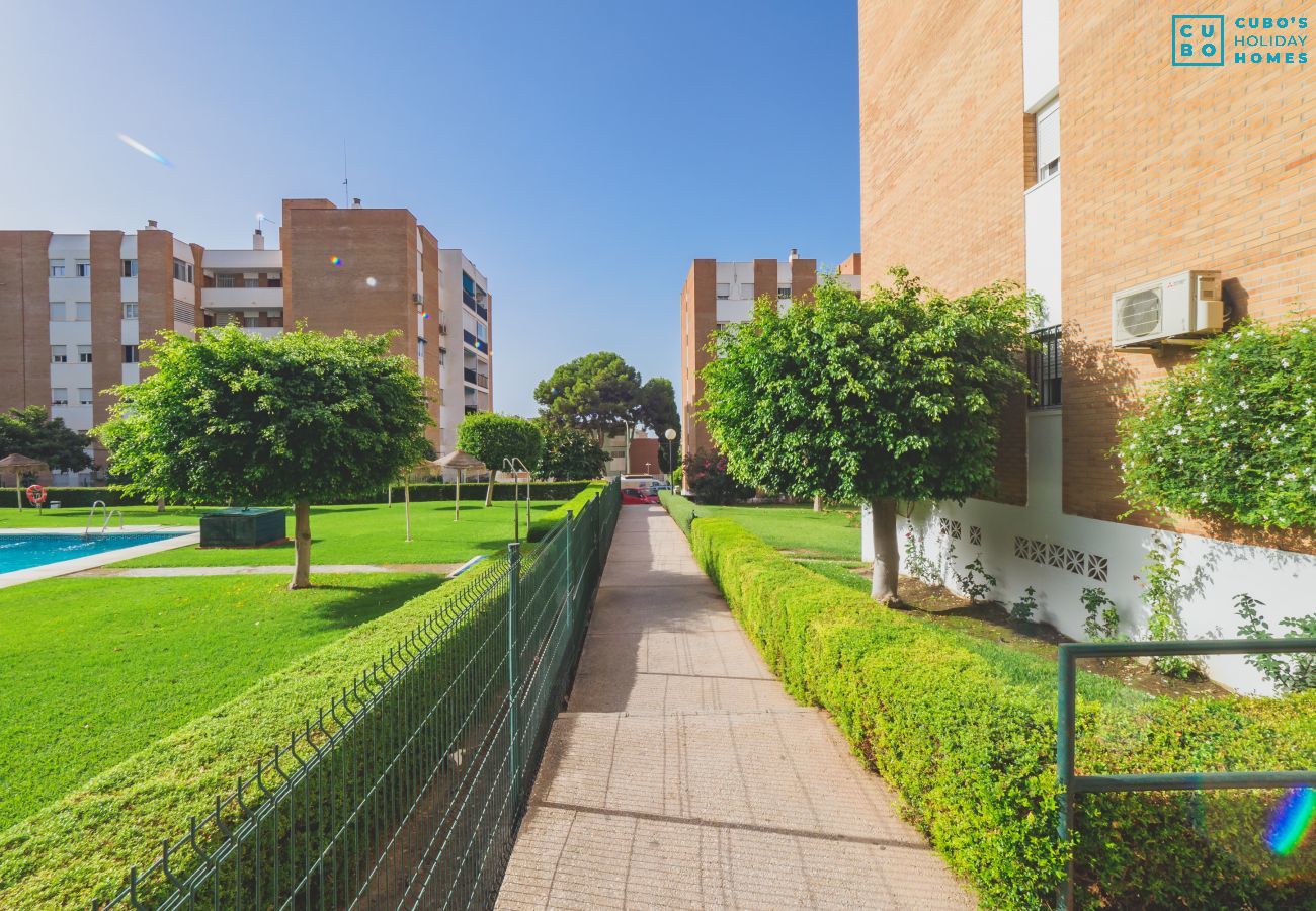 Appartement à Arroyo de la Miel - Cubo's Apartamento Benalmar