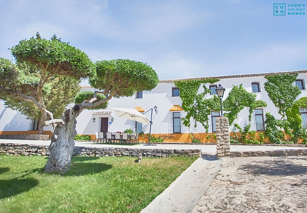 Gîte Rural à Setenil de las Bodegas - Cubo's El Baldio Country House - Setenil Bodegas