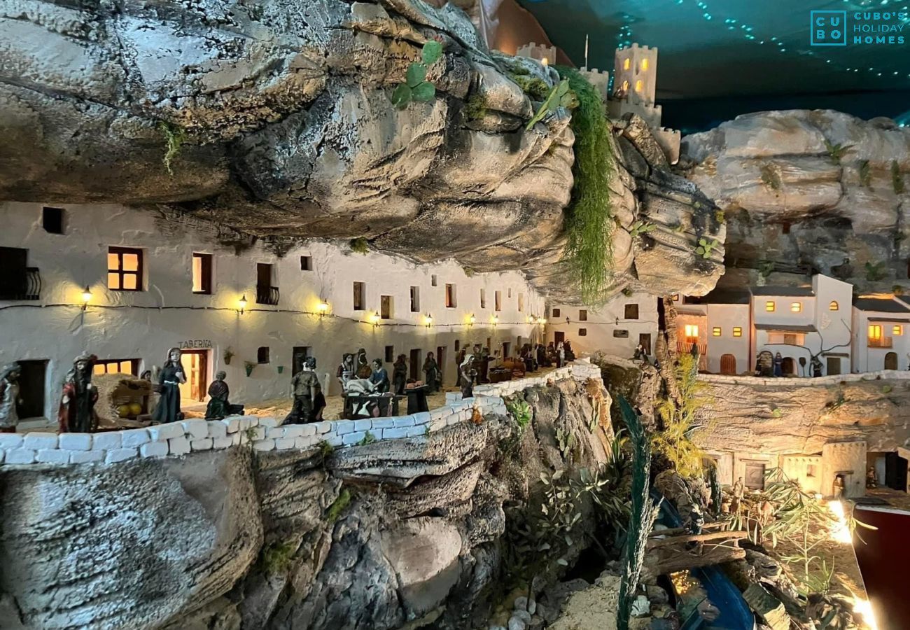 Gîte Rural à Setenil de las Bodegas - Cubo's El Baldio Country House - Setenil Bodegas