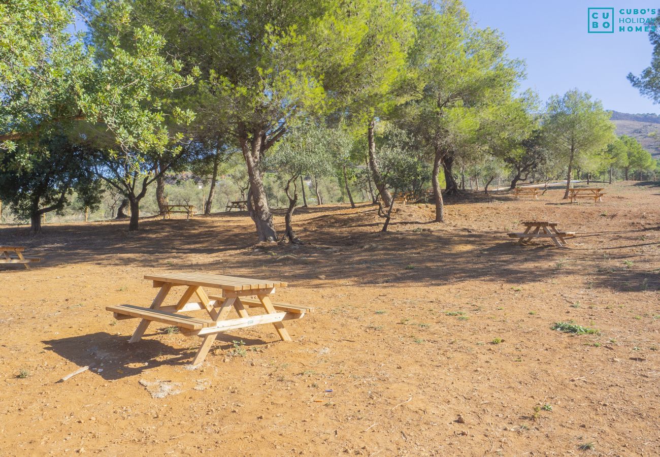 Gîte Rural à Alhaurín el Grande - Cubo's Casa La Bravo BBQ Roof Terrace