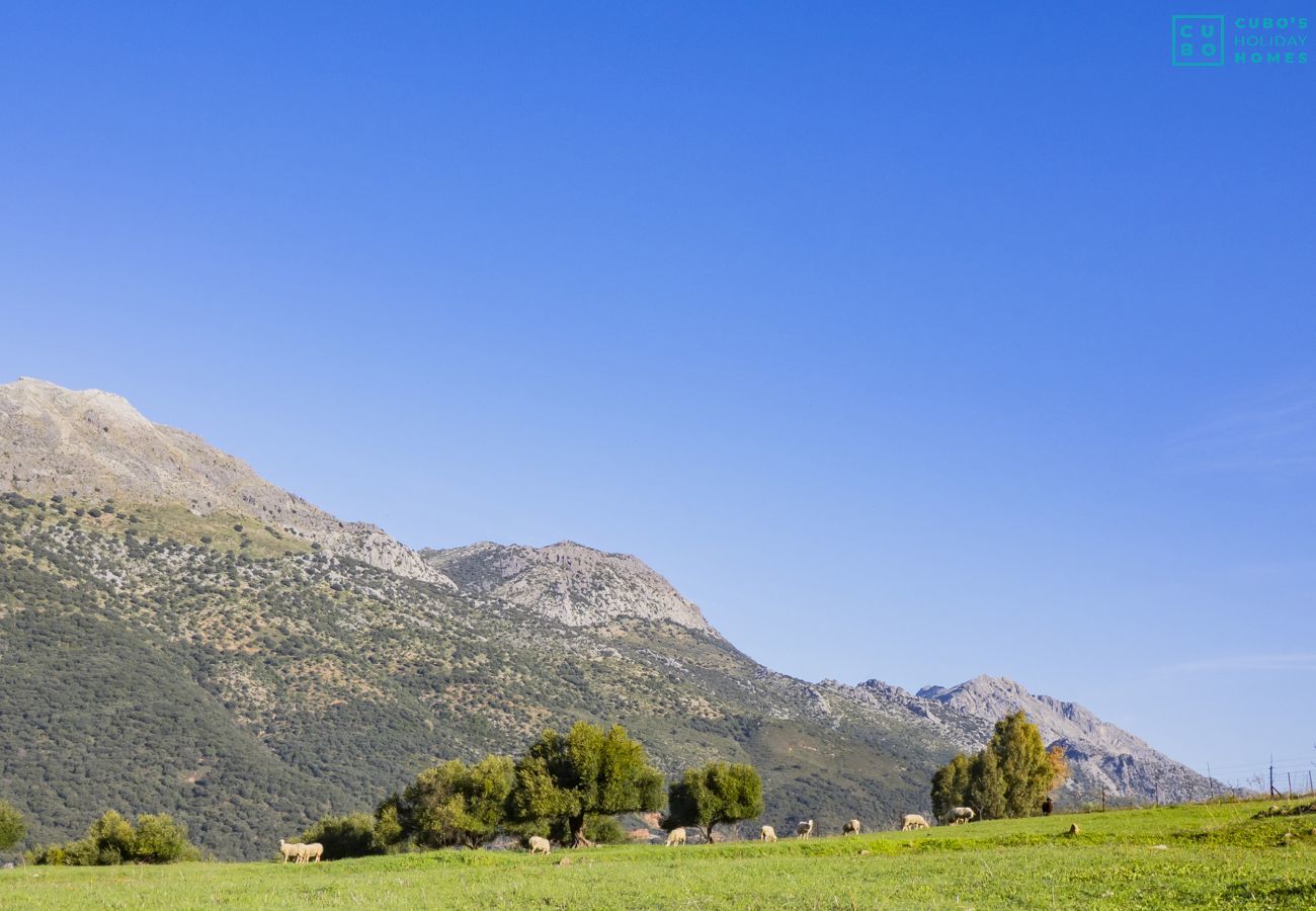 Gîte Rural à Jimera de Líbar - Cubo's Casa Rural La Albahaca de Libar