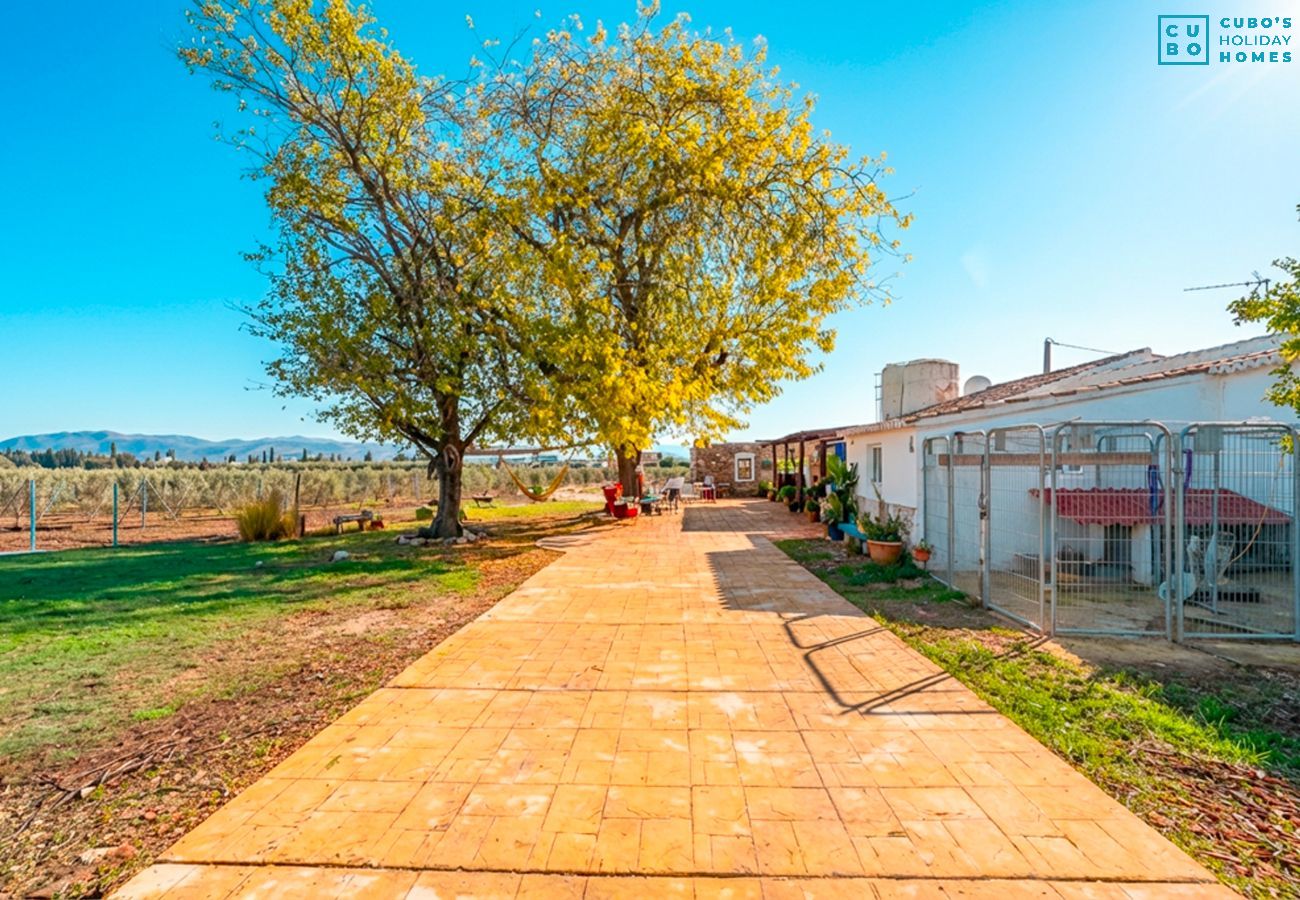 Gîte Rural à Antequera - Cubo's Cortijo La Olivera