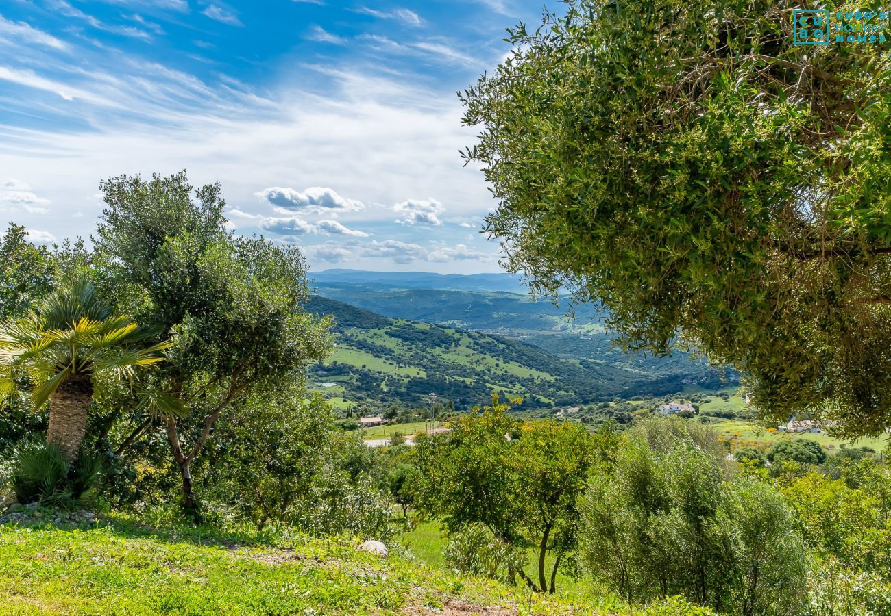 Gîte Rural à Casares - Cubo's Finca Juan Benitez Santa Cruz