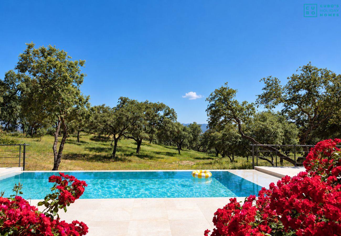 Villa à Ronda - Cubo's Villa La Caldera